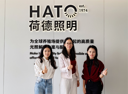 灯光照明行业办公空间焕新就来888集团装饰